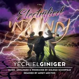 Nachamu Electrified cover